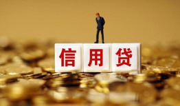 成都市哪里可以民间借贷-成都市私人借钱当天拿钱-成都市贷款联系电话