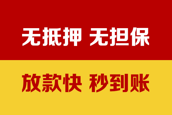成都市小额信用贷款